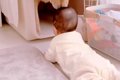赤ちゃんがハイハイ…の画像