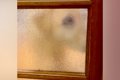 お風呂掃除が終わり…の画像