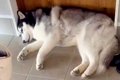 仕事を終えて帰ろう…の画像