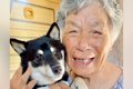 犬たちを連れて『お…の画像