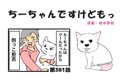 ちーちゃんですけど…の画像