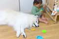 突然、小さな男の子…の画像
