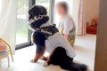 お盆中、超大型犬が…の画像