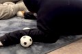 『ピチピチの服』を…の画像