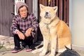 『12歳の秋田犬とお…の画像