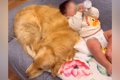 赤ちゃんが『3時間に…の画像