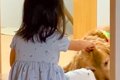 子供3人のお昼寝中、…の画像