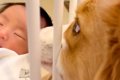 生まれたばかりの赤…の画像