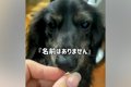 『名前はありません…の画像