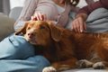 犬が『飼い主の近く…の画像