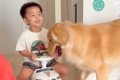 男の子が『車のおも…の画像