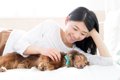 犬が飼い主に『添い…の画像