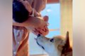 生まれたばかりの赤…の画像