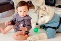 『赤ちゃんと大型犬…の画像