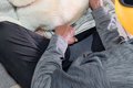 新聞を読んでいる父→…の画像