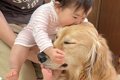 赤ちゃんが眠そうな…の画像