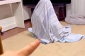 犬に内緒で遊びにき…の画像