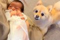 生まれたての赤ちゃ…の画像