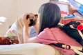 犬と家族の『お別れ…の画像