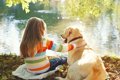 犬と子どもが一緒に…の画像