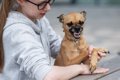 犬が飼い主を『守ろ…の画像