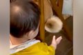0歳の赤ちゃんが『イ…の画像