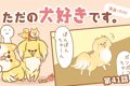 ただの犬好きです。…の画像