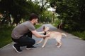 犬が『後ずさりしな…の画像