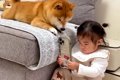 1歳の女の子が『犬を…の画像