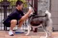 離れて暮らす息子が…の画像