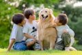 ３人の男の子が『大…の画像