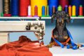 犬用スリングの作り…の画像