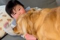 赤ちゃんと大型犬を…の画像