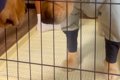 朝、雨だったため『…の画像