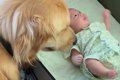 赤ちゃんが動くと、…の画像