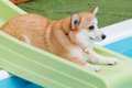 初めてウォータース…の画像