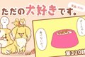 ただの犬好きです。…の画像