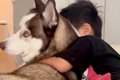 お姉ちゃんとのケン…の画像