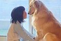 朝、女の子と大型犬…の画像