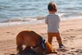 小さな男の子と犬が…の画像