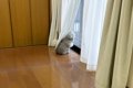 耳が聞こえにくくな…の画像