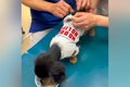 病院に注射を打ちに…の画像