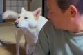 おじいちゃんに『早…の画像