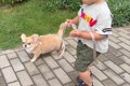 2歳の男の子が初めて…の画像