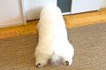 2日間、家に帰ってこ…の画像