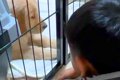 『僕は大型犬のお世…の画像
