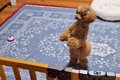 入院のため、2週間も…の画像