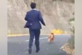 車を走らせていたら…の画像