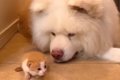 捨てられていた赤ち…の画像