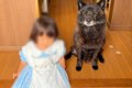 1歳の女の子が『犬と…の画像